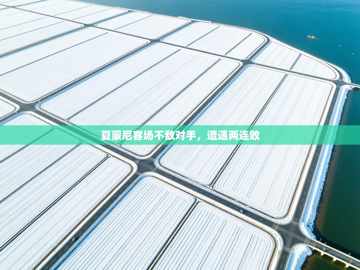 夏蒙尼客场不敌对手，遭遇两连败  第1张