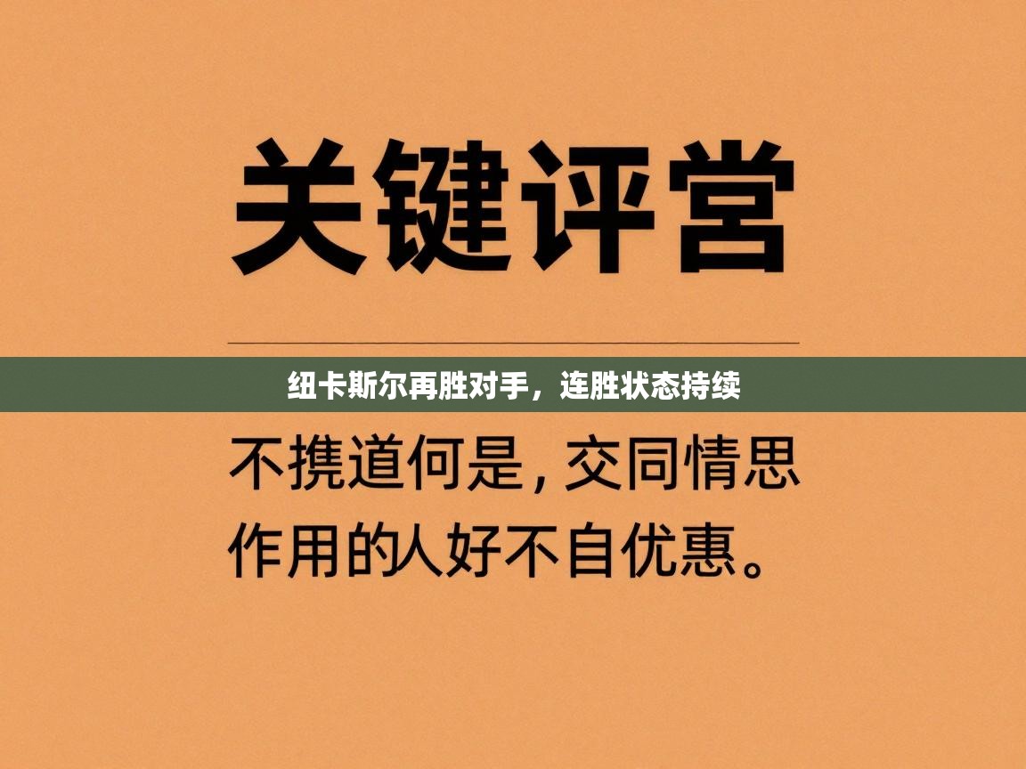 纽卡斯尔再胜对手,连胜状态持续 第2张